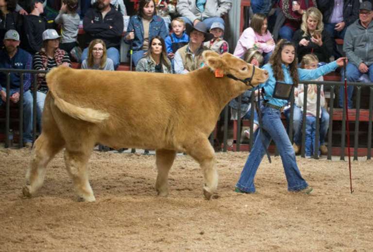 2020 Houston NO SHOW Premium Sale
