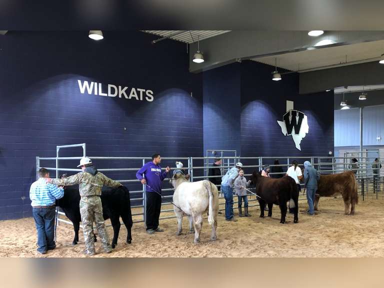 Willis Ag Booster Student Projects (Add-Ons Only)