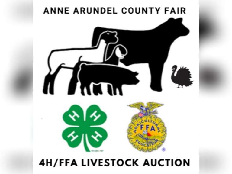 Anne Arundel County 4H/FFA Livestock Auction - Maryland